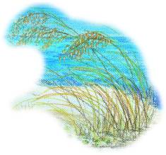 seaoats